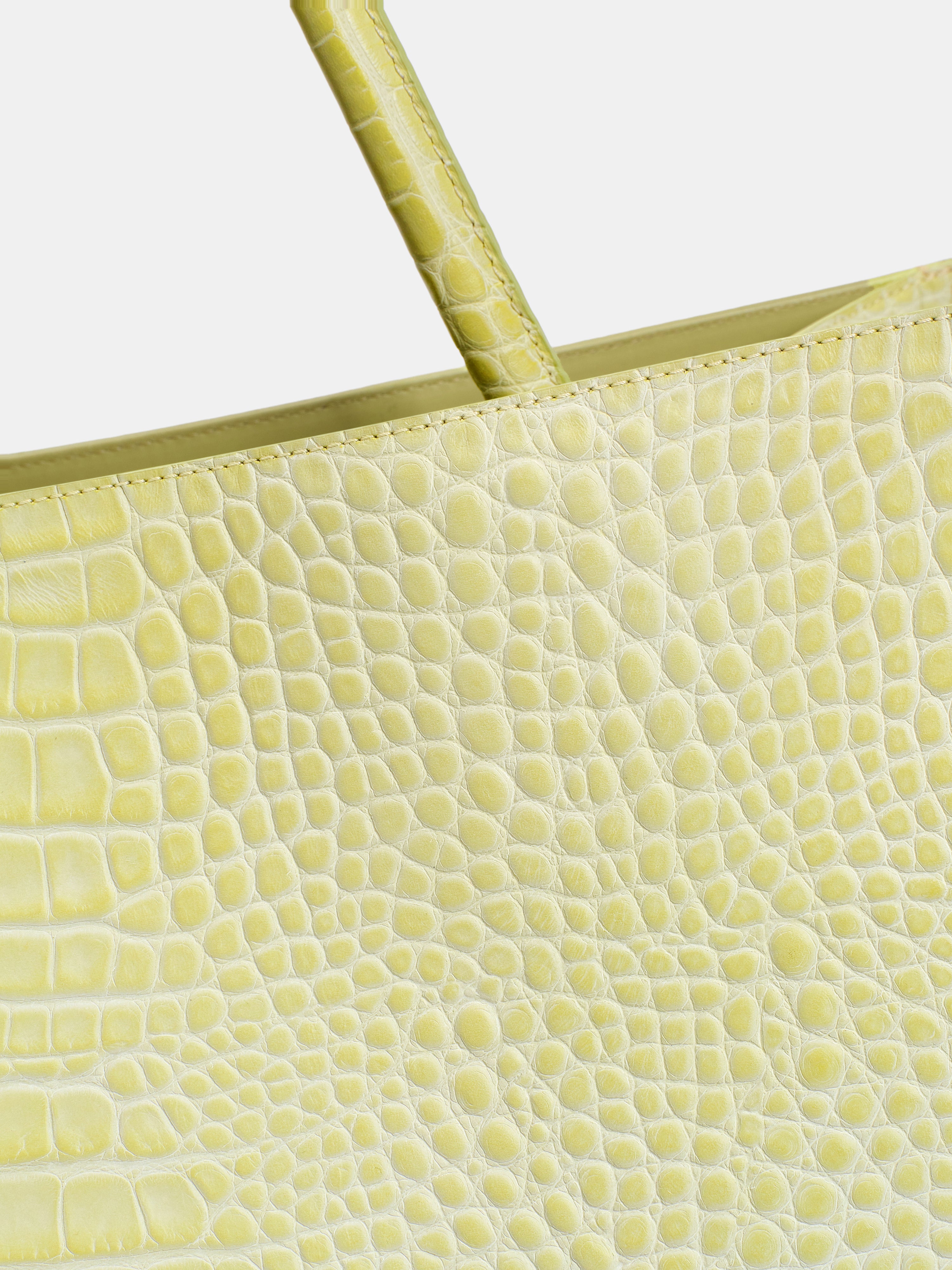 Large Cerine Bag