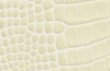 XL Cerine Bag